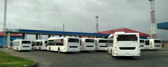 В Череповец прибыли 17 новых автобусов на газомоторном топливе